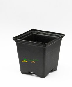 Maceta cuadrada 2.5 baja