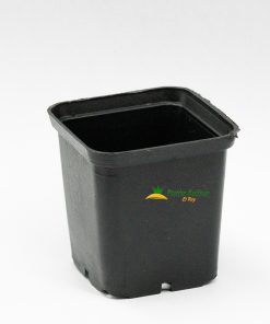 Maceta cuadrada 2"