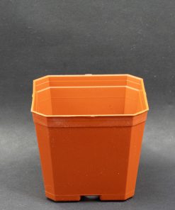 Maceta cuadrada 2.5 Terracota