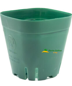 Alternative view of 10 Maceta Cuadrada verde de 2.5"