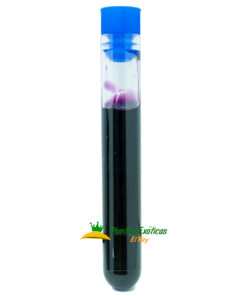 Alternative view of Clonex® Rooting Gel 10ml