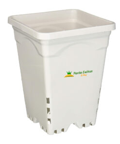 Maceta Active Aqua blanca de 7x7"