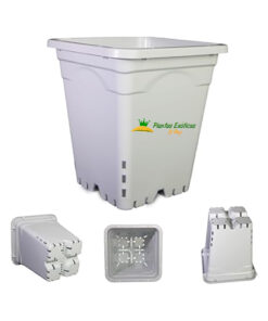 Maceta Active Aqua blanca de 7x7" - Imagen 4